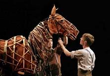 warhorse1.jpg