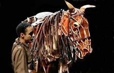 warhorse2.jpg