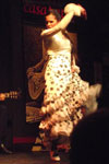 Flamenco Show Florida Park