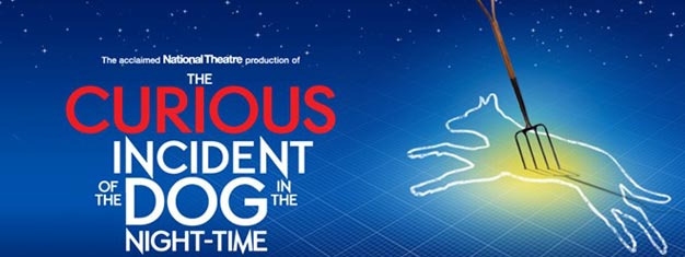 the curious incident of the dog in the nighttime essays the curious incident of the dog in the nighttime essays