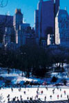 Wollman Rink Ice Skating in Central Park