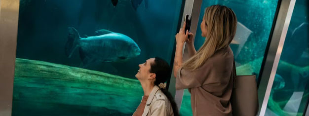 Artis Royal Zoo: Skip the line