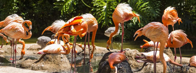 Zoo de Barcelone : billets coupe-files