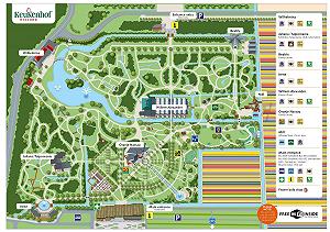 Keukenhof: Skip The Line and transport from Amsterdam