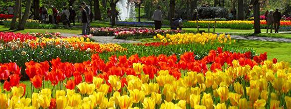 Reservar entradas para Keukenhof