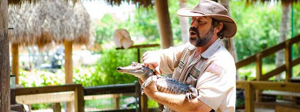 Book tickets to Theme Parks in Orlando