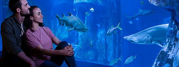 Bestel tickets voor SEA LIFE London