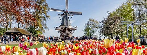 Reservar entradas para Keukenhof