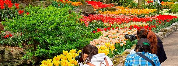 Reservar entradas para Keukenhof