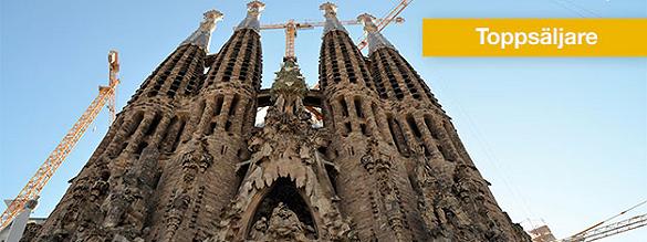 Knjiga ulaznice za Sagrada Familia