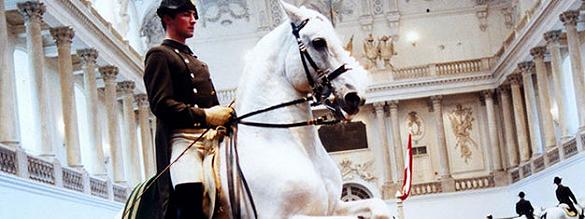 Commander des billets pour Ecole d'Equitation Espagnole
