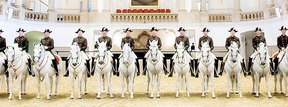Commander des billets pour Ecole d'Equitation Espagnole