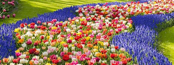 Reservar entradas para Keukenhof
