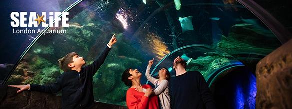 Book tickets for Offers in London