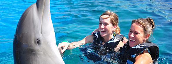 Book tickets to Attractions in Orlando