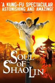 Soul of Shaolin