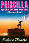 砂漠のプリシラクイーン Priscilla Queen of the Desert