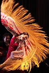 Flamenco Gala - Dancing to Lorca