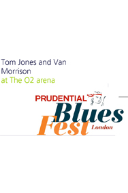 Bring It On Home -  An Evening With Tom Jones and Van Morrison