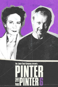 Pinter 6: Party Time / Celebration