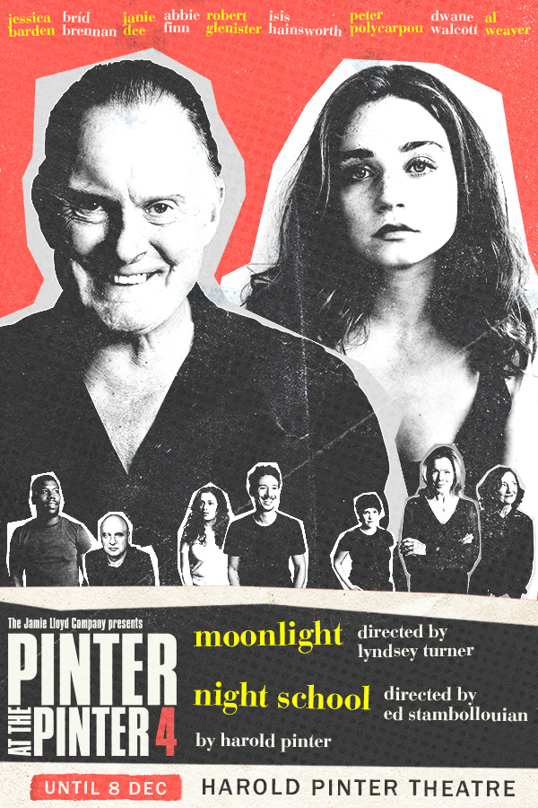Pinter 4: Moonlight / Night School