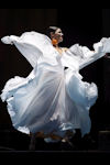 Flamenco Sin Fronteras