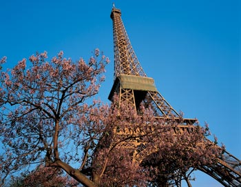 Reserva con antelación entradas para un tour de Paris en bus, barco y desde el aire. Incluyendo una subida a la Torre Eiffel sin hacer cola! Vale la pena!