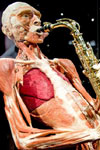 Body Worlds - The Happiness Project