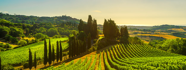 Nyd vinsmagning og frokost på denne Frascati guidede tur. Du smager italienske specialiteter og får en gåtur rundt på vingården. Bestil dine billetter i dag!