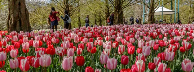 Book your entrance tickets from home and skip the line to Keukenhof. Direct shuttle busses between Amsterdam and Keukenhof are incl. in the ticket price.