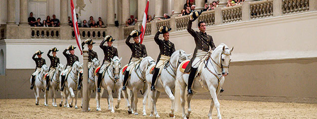 Ve en acción la raza de caballo más antigua de Europa en la famosa Escuela Española de Equitación de Viena. Ve un entrenamiento de mañana. Reserva entradas en línea!