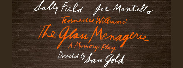 Sally Field & Joe Mantello star in Tennessee Williams’ The Glass Menagerie on Broadway in New York. Book your tickets for The Glass Menagerie here!