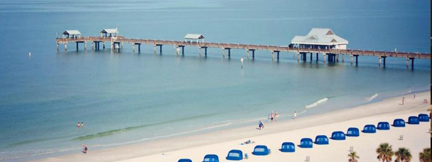 Entspannen und schwimmen Sie am Clearwater Beach, essen Sie zu Mittag und besuchen Sie Winter, den Delphin, im Clearwater Marine Aquarium. Online buchen!