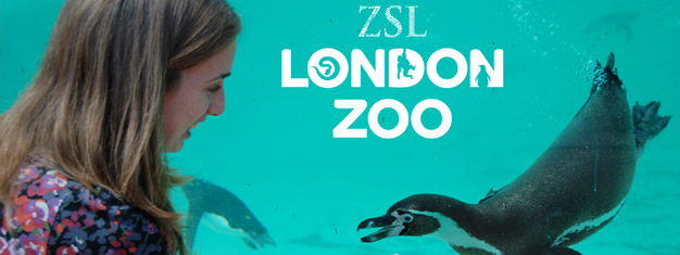 Acercáte a todos los impresionantes animales del ZSL London Zoo. Más de 760 especies y un zoológico interactivo para los niños. Reserva entradas aquí!