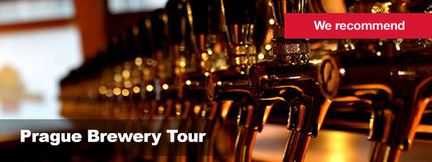 Prague Brewery Tour is the best beer tour in all of Czech Republic. Buy your tickets for Prague Brewery Tour here, and taste the famous Czech beer!