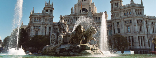 Explora los principales lugares de interés y atracciones de Madrid y visita el famoso Museo del Padro acompañado de un guía local. Reserva tus entradas en línea!