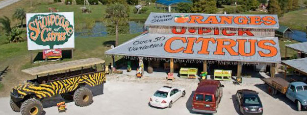 Disfruta un paseo de 30 minutos en hidrodeslizador seguido de un tour en un Monster Truck a través de un rancho de cítricos. Explora la Florida natural! Reserva en línea!