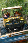 Airboat Ride and Monster Truck Tour