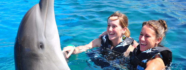 Feed and touch the dolphins at the Marineland Dolphin Sanctuary. This tour includes a fun dolphin experience and tour of St. Augustine. Book online!