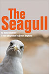 The Seagull