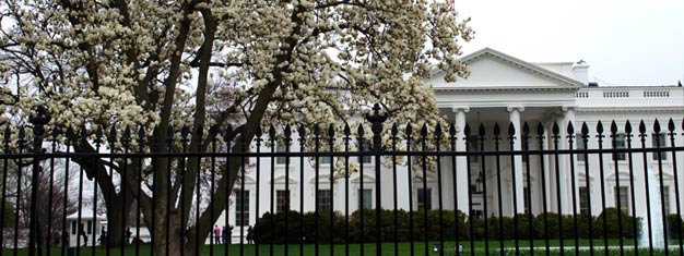 Utforska D.C. på en dag! Se alla berömda sevärdheter i Washington DC som Vita huset, Kapitolium och World War II Memorial! Boka biljetter nu!